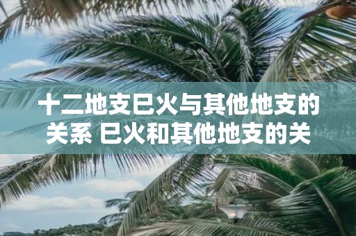 十二地支巳火与其他地支的关系 巳火和其他地支的关系