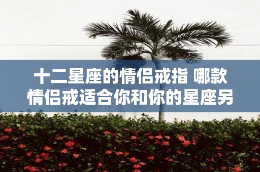 十二星座的情侣戒指 哪款情侣戒适合你和你的星座另一半