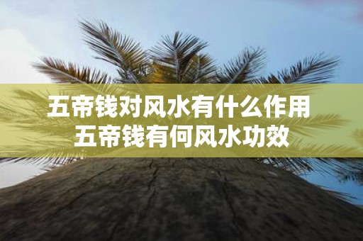 五帝钱对风水有什么作用 五帝钱有何风水功效