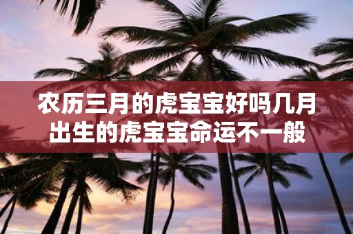 农历三月的虎宝宝好吗几月出生的虎宝宝命运不一般
