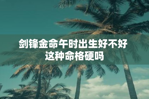 剑锋金命午时出生好不好 这种命格硬吗