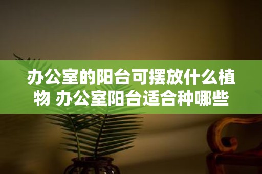 办公室的阳台可摆放什么植物 办公室阳台适合种哪些植物