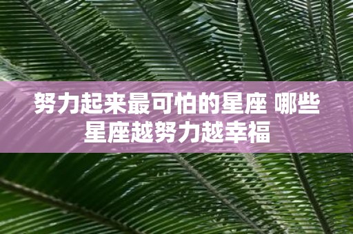 努力起来最可怕的星座 哪些星座越努力越幸福