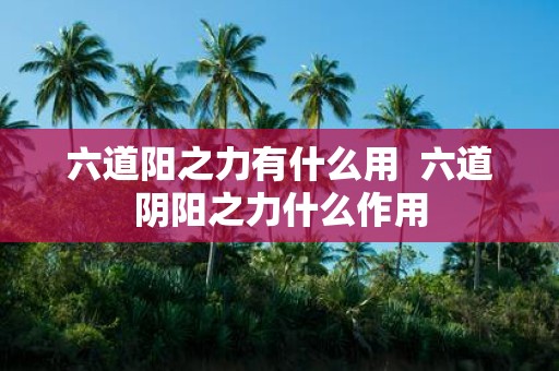 六道阳之力有什么用 六道阴阳之力什么作用