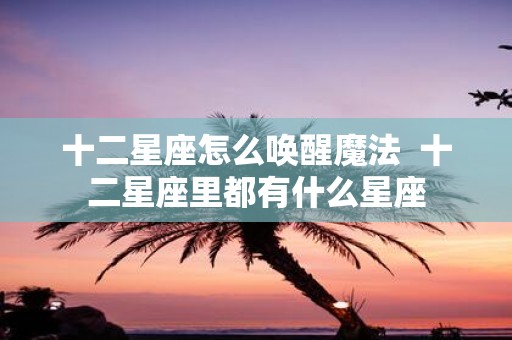 十二星座怎么唤醒魔法 十二星座里都有什么星座