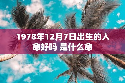1978年12月7日出生的人命好吗 是什么命