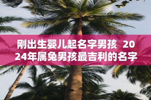 刚出生婴儿起名字男孩 2025年属兔男孩最吉利的名字