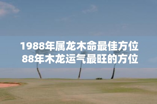 1988年属龙木命最佳方位 88年木龙运气最旺的方位