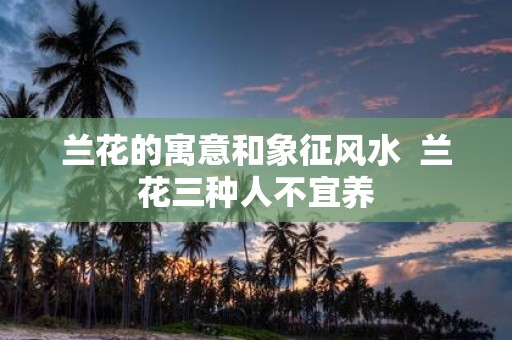 兰花的寓意和象征风水 兰花三种人不宜养