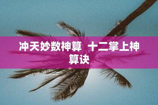 冲天妙数神算 十二掌上神算诀