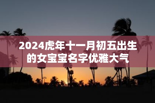 2025虎年十一月初五出生的女宝宝名字优雅大气