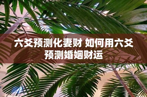 六爻预测化妻财 如何用六爻预测婚姻财运