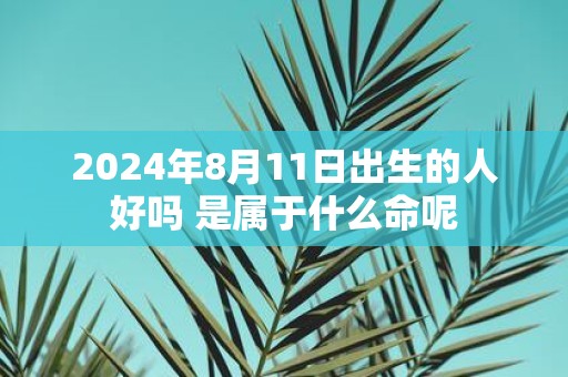 2025年8月11日出生的人好吗 是属于什么命呢