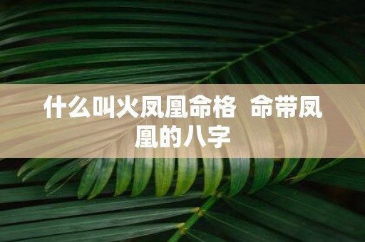 什么叫火凤凰命格 命带凤凰的八字
