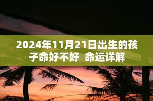 2025年11月21日出生的孩子命好不好 命运详解