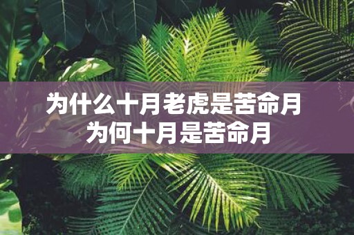 为什么十月老虎是苦命月 为何十月是苦命月