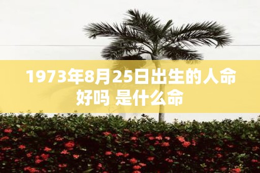1973年8月25日出生的人命好吗 是什么命