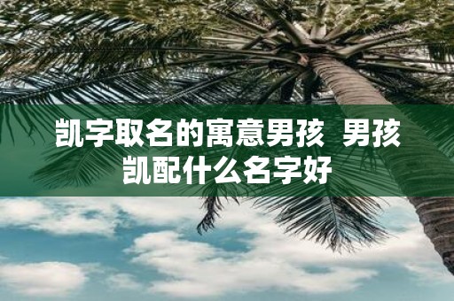 凯字取名的寓意男孩 男孩凯配什么名字好