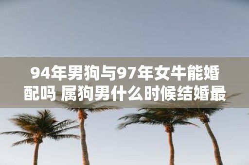 94年男狗与97年女牛能婚配吗 属狗男什么时候结婚最好