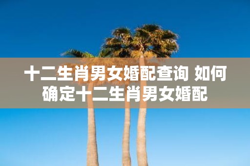 十二生肖男女婚配查询 如何确定十二生肖男女婚配