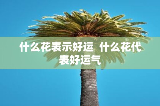 什么花表示好运 什么花代表好运气