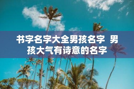 书字名字大全男孩名字 男孩大气有诗意的名字