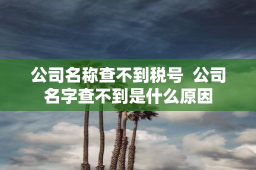 公司名称查不到税号 公司名字查不到是什么原因