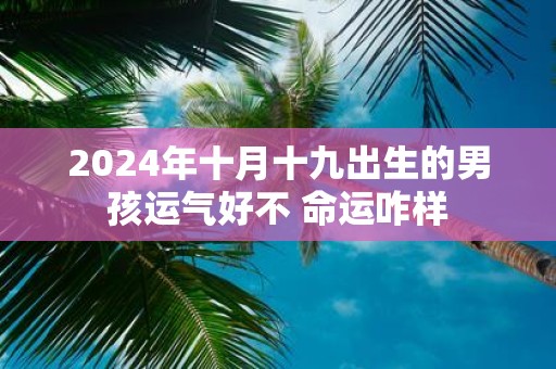 2025年十月十九出生的男孩运气好不 命运咋样
