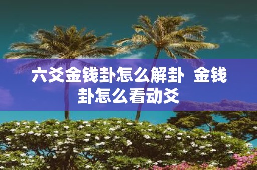 六爻金钱卦怎么解卦 金钱卦怎么看动爻