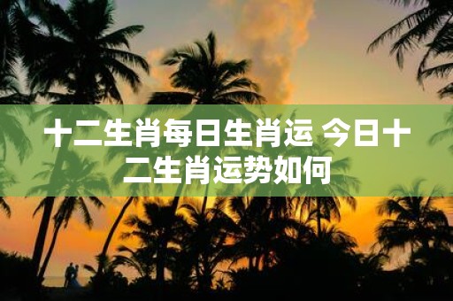 十二生肖每日生肖运 今日十二生肖运势如何