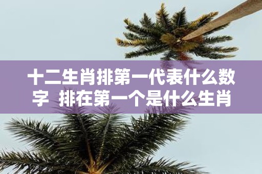 十二生肖排第一代表什么数字 排在第一个是什么生肖