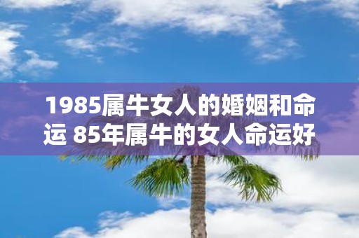 1985属牛女人的婚姻和命运 85年属牛的女人命运好吗