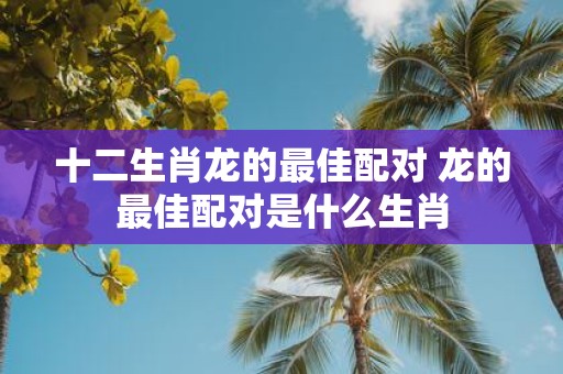 十二生肖龙的最佳配对 龙的最佳配对是什么生肖