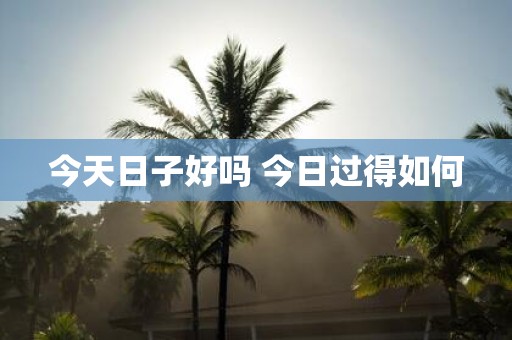 今天日子好吗 今日过得如何