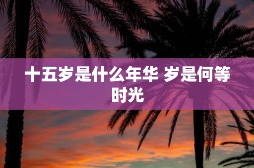 十五岁是什么年华 岁是何等时光