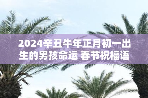 2025辛丑牛年正月初一出生的男孩命运 春节祝福语