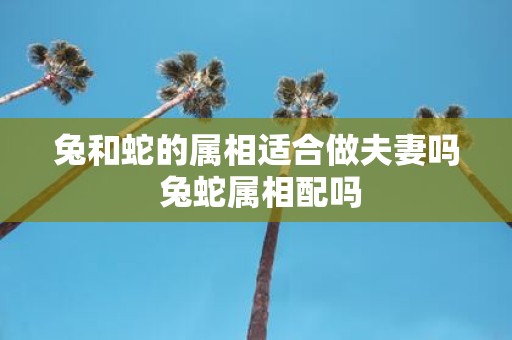 兔和蛇的属相适合做夫妻吗 兔蛇属相配吗