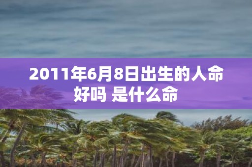 2011年6月8日出生的人命好吗 是什么命