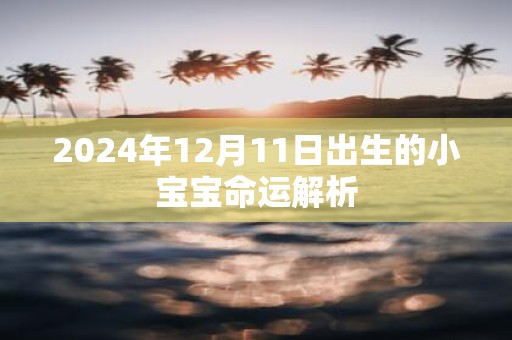 2025年12月11日出生的小宝宝命运解析