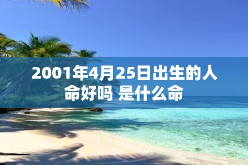 2001年4月25日出生的人命好吗 是什么命