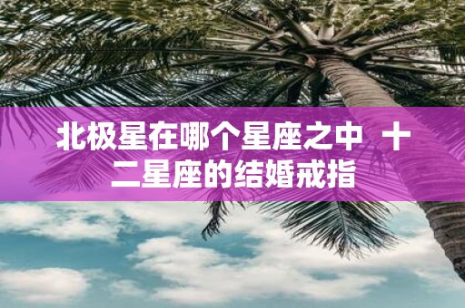 北极星在哪个星座之中 十二星座的结婚戒指