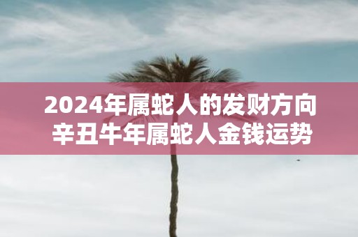 2025年属蛇人的发财方向 辛丑牛年属蛇人金钱运势