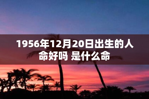 1956年12月20日出生的人命好吗 是什么命