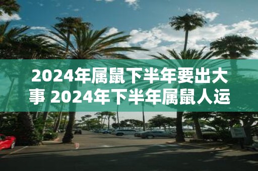 2025年属鼠下半年要出大事 2025年下半年属鼠人运势