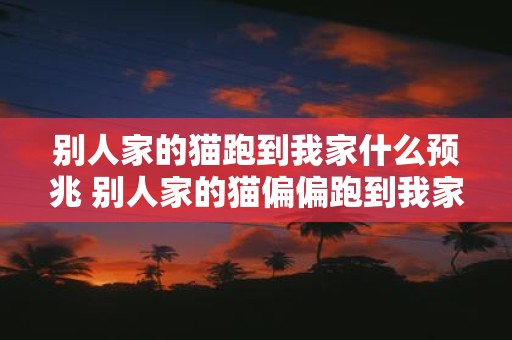 别人家的猫跑到我家什么预兆 别人家的猫偏偏跑到我家是什么原因