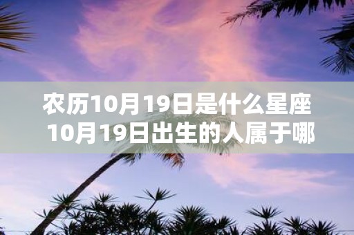 农历10月19日是什么星座 10月19日出生的人属于哪个星座