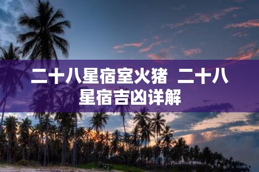 二十八星宿室火猪 二十八星宿吉凶详解