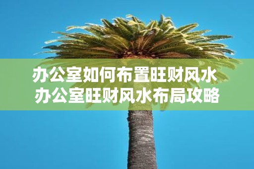 办公室如何布置旺财风水 办公室旺财风水布局攻略