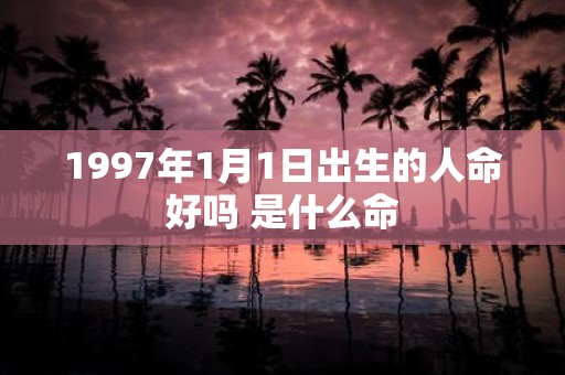 1997年1月1日出生的人命好吗 是什么命