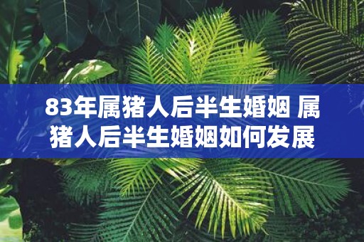 83年属猪人后半生婚姻 属猪人后半生婚姻如何发展